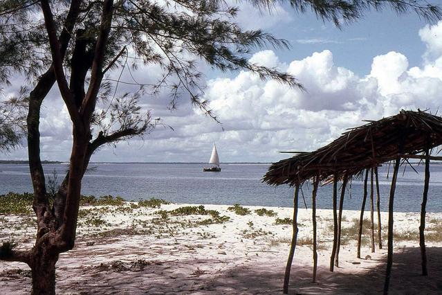 Bongoyo Island